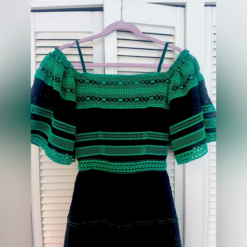 Stunning Luxury Costarellos Party Dress